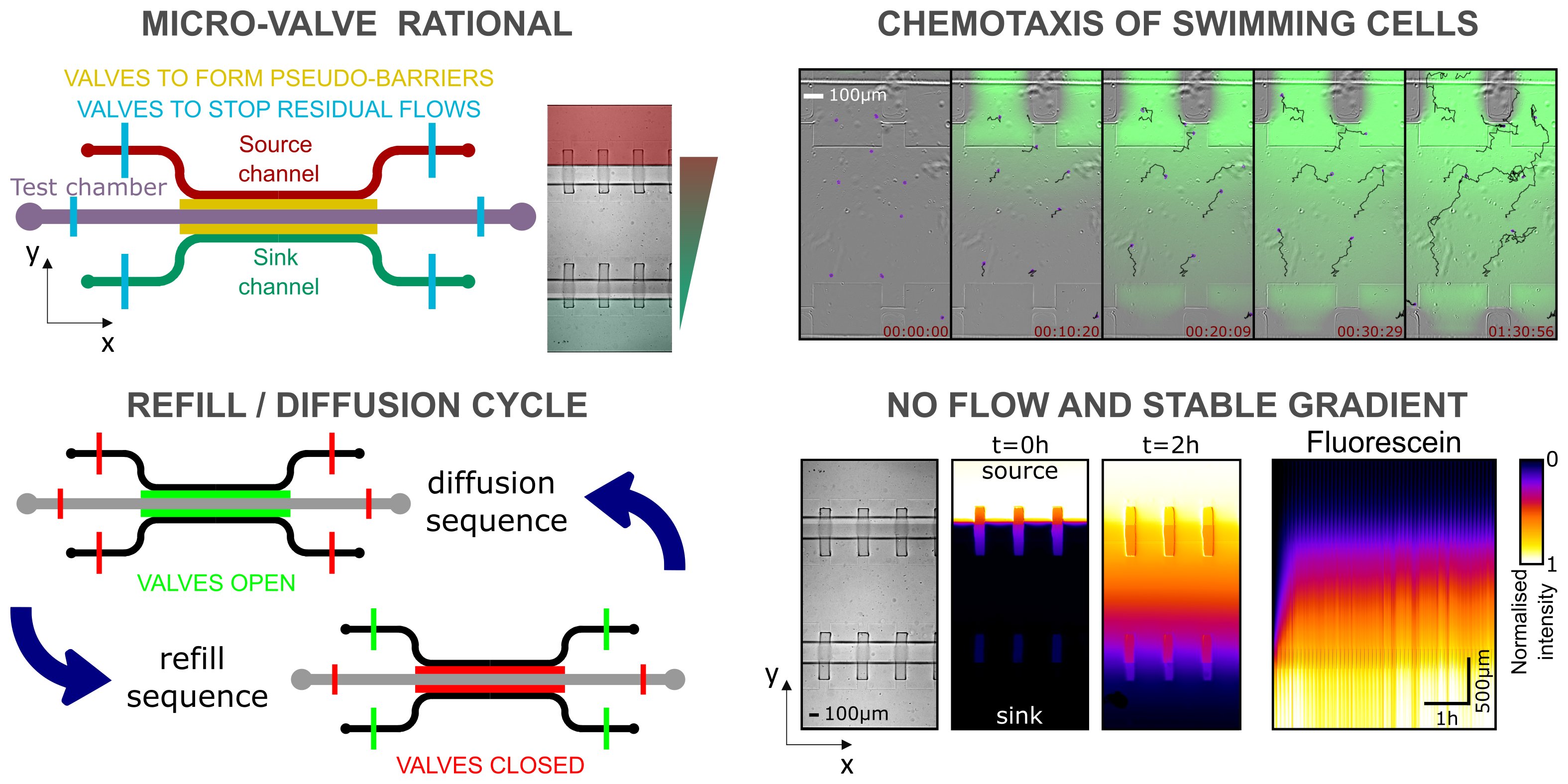 Microvalve A new article on “Microvalve-based gradient generators to control flow ...